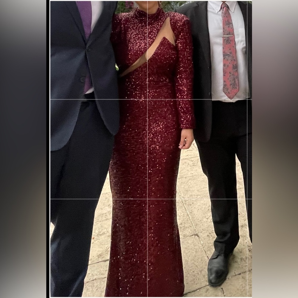 Michael Costello x Revolve Sequin Long-Sleeve Burgundy Gown— Worn Once; Size L;